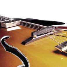 FISHMAN Archtop Guitar Pickup 【アーチトップギター用】【オンラインストア限定】_2