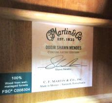 Martin 000JR 10 SHAWN  MENDES_8
