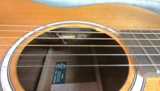 Martin 000JR 10 SHAWN  MENDES_11