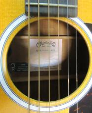 Martin 000JR 10 SHAWN  MENDES_12
