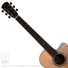 Morris S-101 Ver.III_6