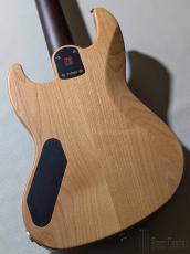 SAITO GUITARS 【8/31までの決算セール!】S-521B -Sage w/Wenge Neck Option- #242826【4.58?】_4