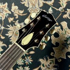 Collings I-35 LC Deluxe / Candy Apple Red (Top Only) & Parallelograms Inray_7