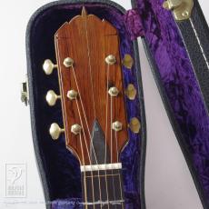 Somogyi 00-12F Cutaway (Jacaranda)_6