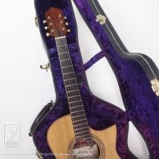 Somogyi 00-12F Cutaway (Jacaranda)_8