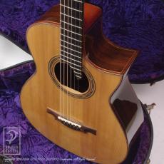 Somogyi 00-12F Cutaway (Jacaranda)_14