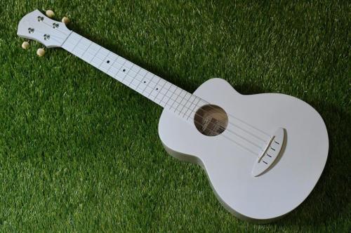 aNueNue LFG-CG Concert Longneck