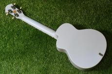 aNueNue LFG-CG Concert Longneck_2