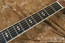 Taylor 2000 814-BCE "Brazilian Rosewood Side & Back_8