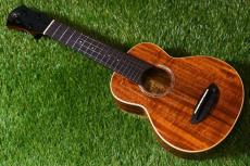 aNueNue AAA1 Soprano_2