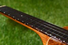 aNueNue AAA1 Soprano_7