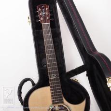 Morris SJ-101_8