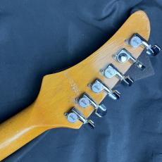 Gibson 1983 Corvus_5