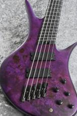 Legator HB5F - Satin Purple Burl -【4.11kg】