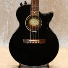 Guild Songbird