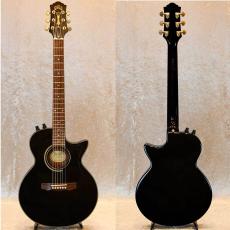 Guild Songbird_2