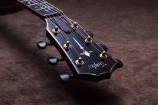 Taylor 【決算セール!8/31まで!Fisman AMPプレゼント!】CTM GA Sinkaer Redwood × Flame Maple_8