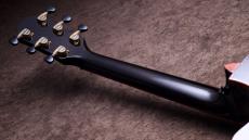 Taylor 【決算セール!8/31まで!Fisman AMPプレゼント!】CTM GA Sinkaer Redwood × Flame Maple_10