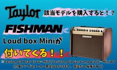 Taylor 【決算セール!8/31まで!Fisman AMPプレゼント!】CTM GA Sinkaer Redwood × Flame Maple_11
