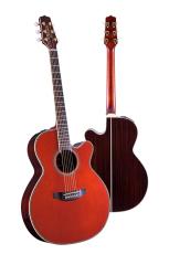 Takamine 匠 TAKUMI ～Antique Nutmeg～