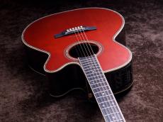 Takamine 匠 TAKUMI ～Antique Nutmeg～_2