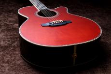 Takamine 匠 TAKUMI ～Antique Nutmeg～_3