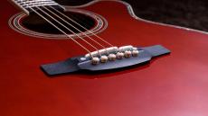 Takamine 匠 TAKUMI ～Antique Nutmeg～_7