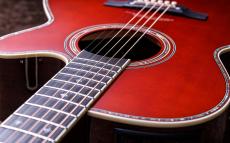 Takamine 匠 TAKUMI ～Antique Nutmeg～_8