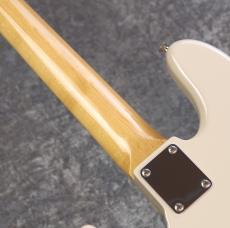FUJIGEN KNJB10RBD【4.18Kg】_9