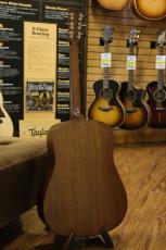Martin D-15M w/FISHMAN Rare Earth Hum (2024年製USED)_9