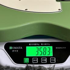 Fender Player II Telecaster, Rosewood Fingerboard, Birch Green 【特価】_11