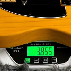 Fender Standard Telecaster, Maple Fingerboard, Black Pickguard, Butterscotch Blonde 【特価】_11