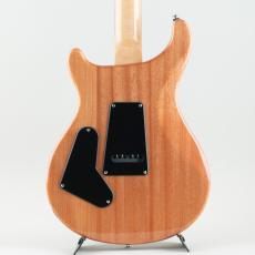 Paul Reed Smith [PRS] SE Custom 24 Sapphire Fade【S/N CTI H056357】_4