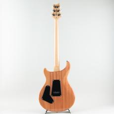 Paul Reed Smith [PRS] SE Custom 24 Sapphire Fade【S/N CTI H056357】_5