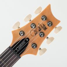 Paul Reed Smith [PRS] SE Custom 24 Sapphire Fade【S/N CTI H056357】_8