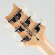 Paul Reed Smith [PRS] SE Custom 24 Sapphire Fade【S/N CTI H056357】_9