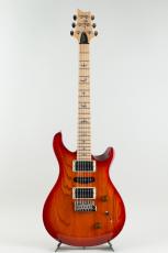 Paul Reed Smith [PRS] SE Swamp Ash Special Vintage Sunburst【S/N CTI G107051】_2
