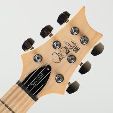 Paul Reed Smith [PRS] SE Swamp Ash Special Vintage Sunburst【S/N CTI G107051】_8