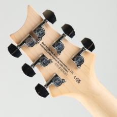 Paul Reed Smith [PRS] SE Swamp Ash Special Vintage Sunburst【S/N CTI G107051】_9