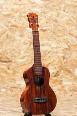 KoAloha KCM-00C Concert 2017_3