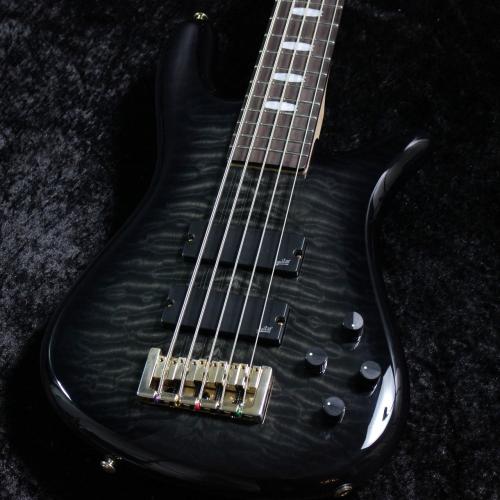 Spector Icon NS-5 Bolt-On /Black Stain【Spector Custom Shop設計の新シリーズ】【軽量3.97kg】