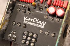 KarDiaN C10H12N2O "Serotonin Origin S.T." Overdrive 【TS開発者とのコラボ】【送料無料】_9