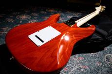 FUJIGEN EOS-FM-R Expert ODYSSEY_9