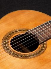 Aiersi Guitar SC02CRB-J【ラティスブレーシング】_2