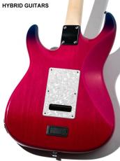 James Tyler Studio Elite Jim Burst 2013_2