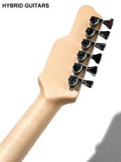 James Tyler Studio Elite Jim Burst 2013_4