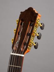 Aiersi Guitar SC02CRA-J【ラティスブレーシング】即納可_9