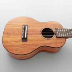 FUJIGEN FUS-TC-LG 《コンサートウクレレ》【オンラインストア限定】_2