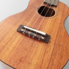 FUJIGEN FUS-TC-LG 《コンサートウクレレ》【オンラインストア限定】_3