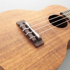 Pupukea UF-C40-AK《コンサートウクレレ》【オンラインストア限定】_3